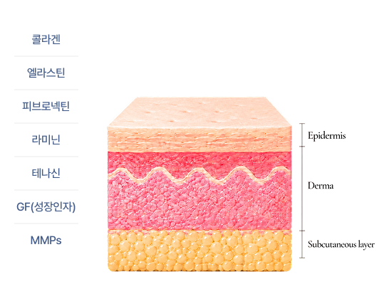 배너이미지